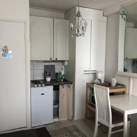 Puutaloasunto 1.8 Km Turun Aurajoelta