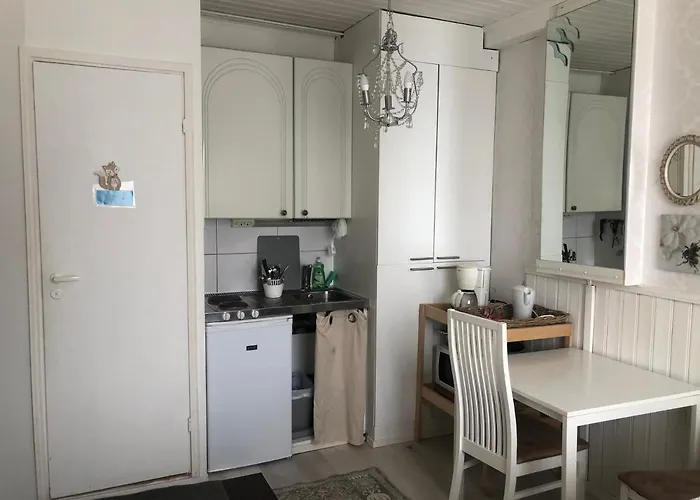 Puutaloasunto 1.8 Km Turun Aurajoelta