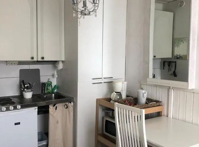 Puutaloasunto 1.8 Km Turun Aurajoelta شقة *